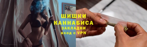 амф Протвино