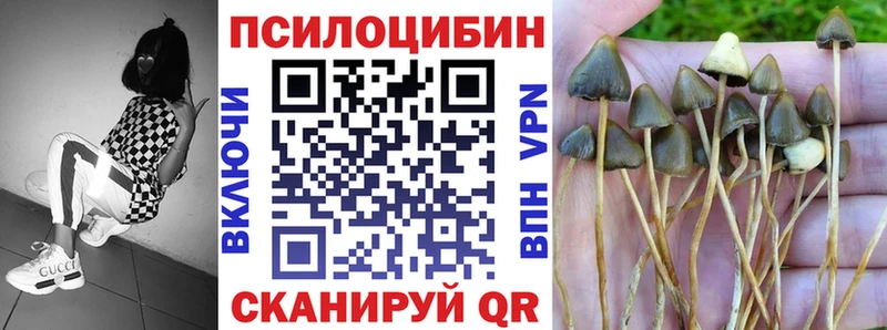 купить  цена  блэк спрут как зайти  Галлюциногенные грибы Cubensis  Далматово 
