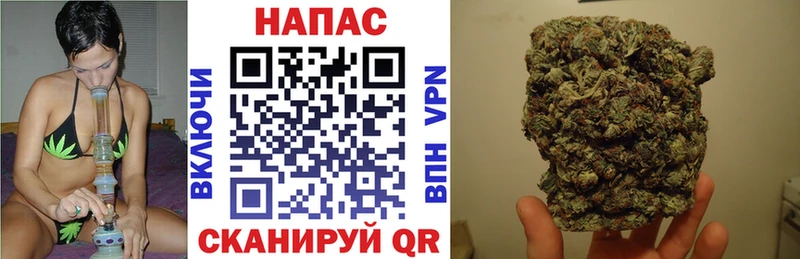 где купить наркоту Далматово Шишки марихуана планчик